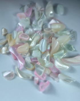 Nail Art Muschel 1 Karl Diamant